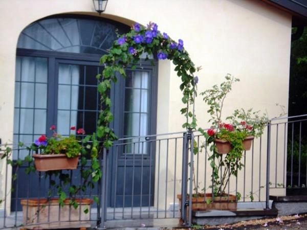 בית מלון כפרי Carlo S