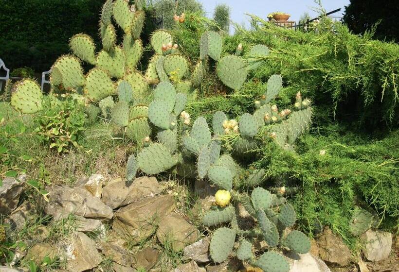 בית מלון כפרי Casa Lucia In Chianti