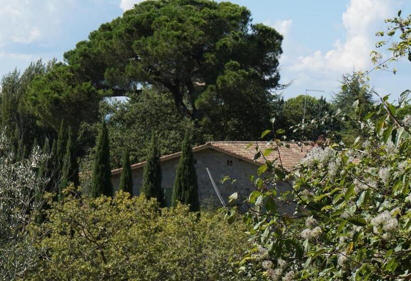 בית מלון כפרי Casa Lucia In Chianti