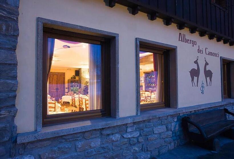 בית מלון כפרי Dei Camosci