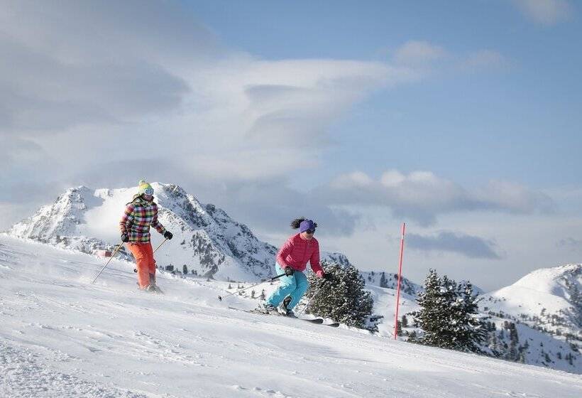 בית מלון כפרי Erica