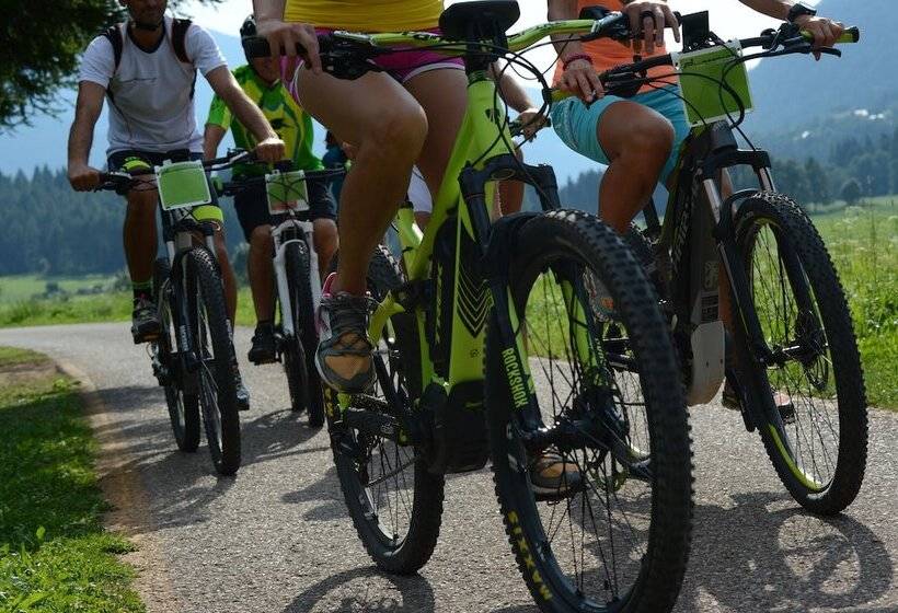 בית מלון כפרי Erica