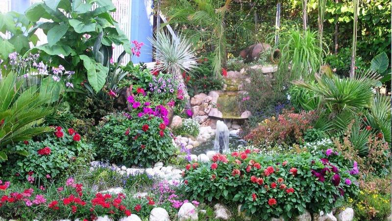 בית מלון כפרי Le Palme