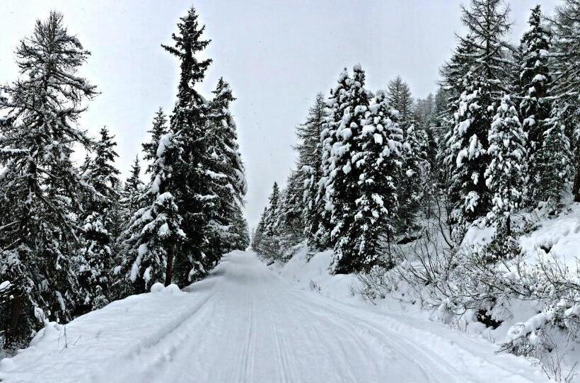 Отель Lerie De Mascognaz