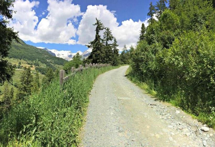 Отель Lerie De Mascognaz