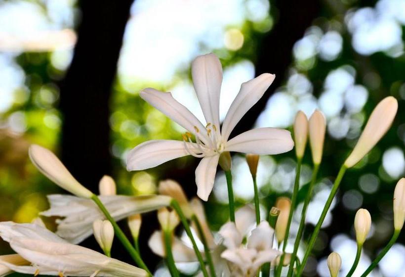 ホテル Locanda Villa Moderna