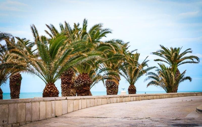 Отель Palazzo Filisio  Regia Restaurant