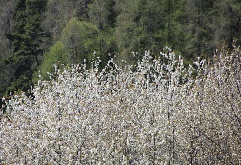 فندق Panoramique