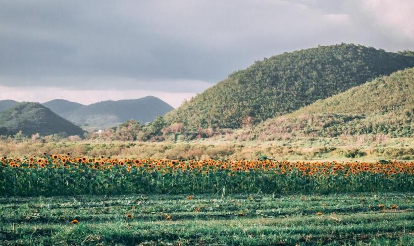 בית מלון כפרי Parador Guanica 1929