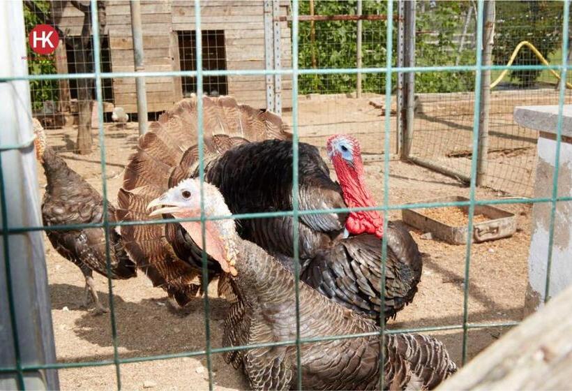 בית מלון כפרי Residence Key Club