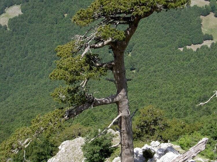 בית מלון כפרי Sette E Mezzo