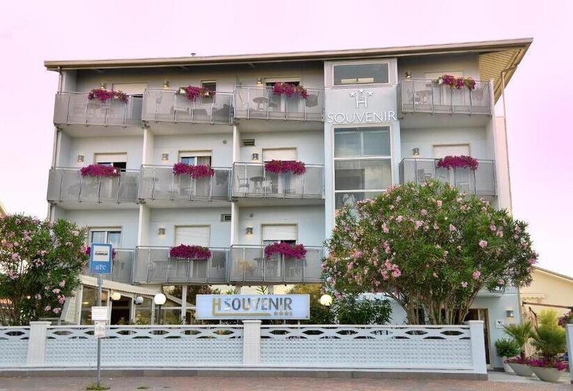 בית מלון כפרי Souvenir