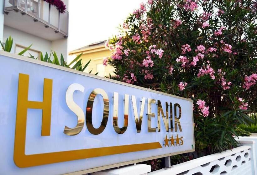 בית מלון כפרי Souvenir