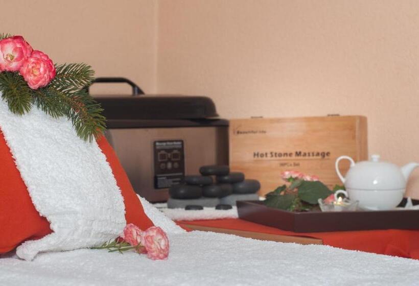 בית מלון כפרי Val Di Sole