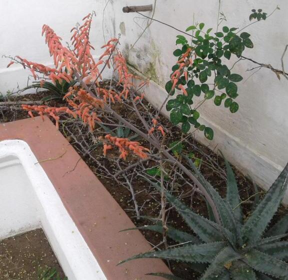 Jardim Dos Aloés, Unique B&b Casa De Charme