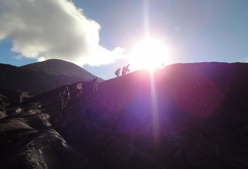 Kokopo Beach Bungalow Resort