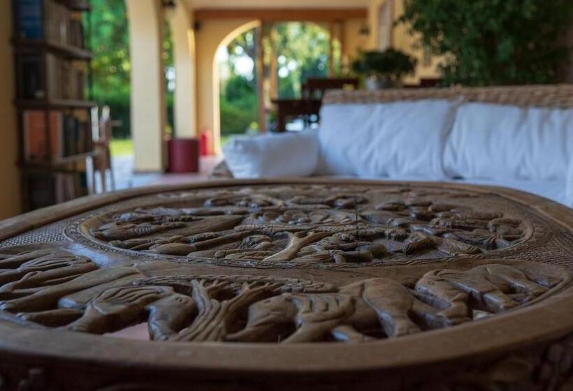 S Arenada Hotel   Adults Only