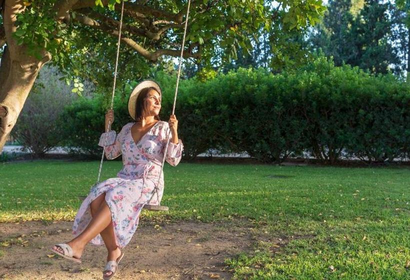 S Arenada Hotel   Adults Only