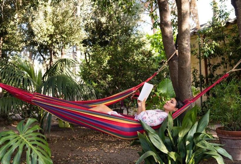 S Arenada Hotel   Adults Only