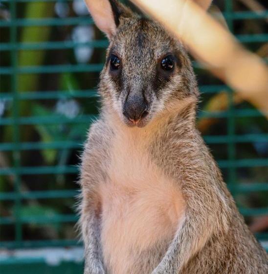 The Sanctuary Hotel Resort Spa