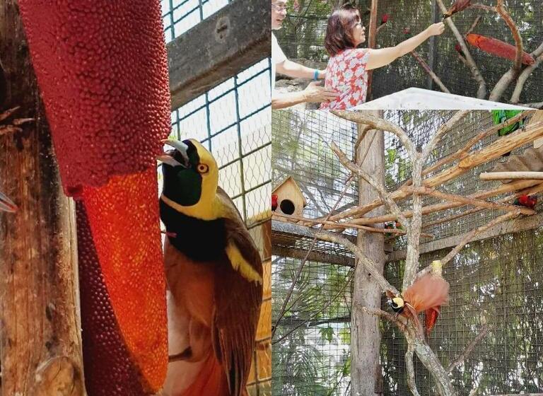 The Sanctuary Hotel Resort Spa