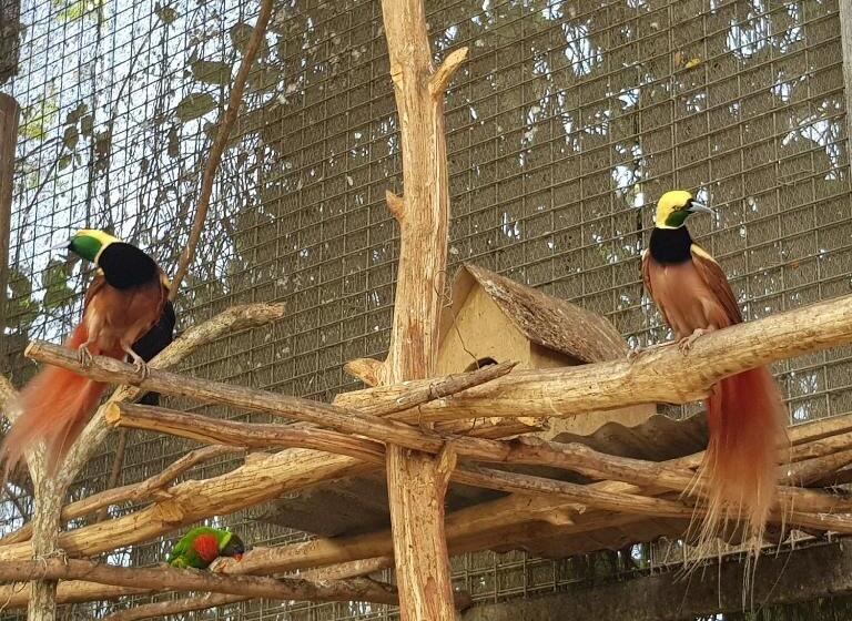 The Sanctuary Hotel Resort Spa