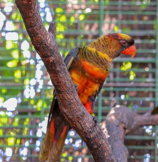 The Sanctuary Hotel Resort Spa