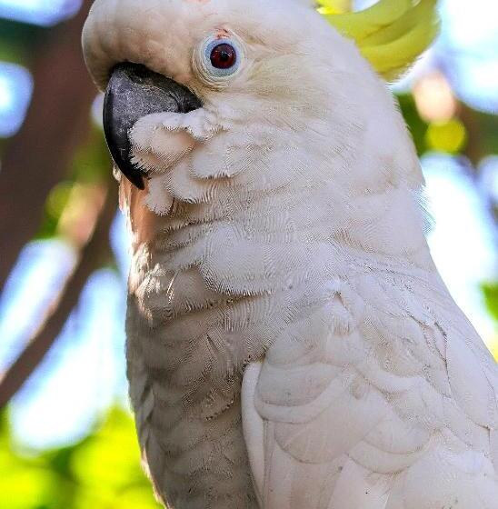 The Sanctuary Hotel Resort Spa