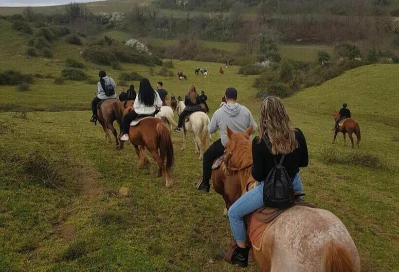 B&b Trekking Horse Club