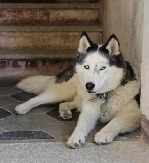 مبيت وإفطار Casa Valduggia