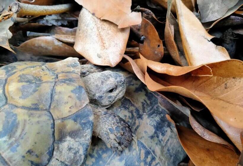 مبيت وإفطار Casa Valduggia