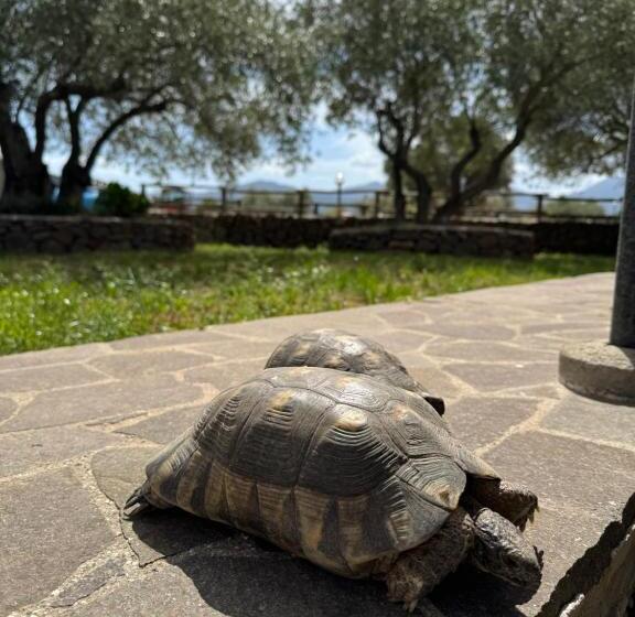 Pensjonat Iloghe Di Marras