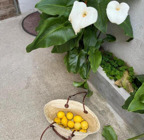 Pensjonat Iloghe Di Marras