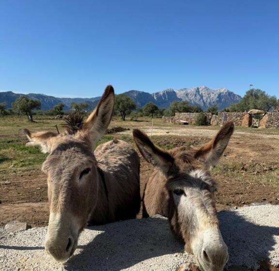 Pensjonat Iloghe Di Marras