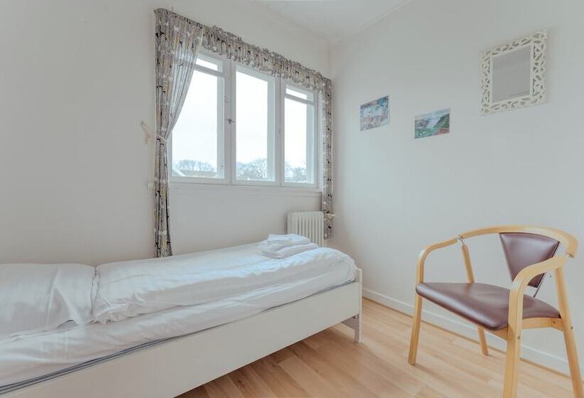 بنسيون The Cookie Store Guesthouse