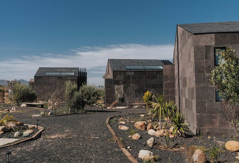 Bajo Estrellas Hotel Contemporáneo