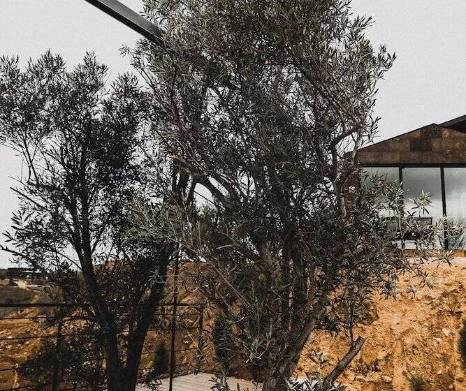 Bajo Estrellas Hotel Contemporáneo