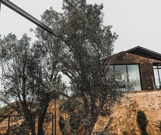 Bajo Estrellas Hotel Contemporáneo