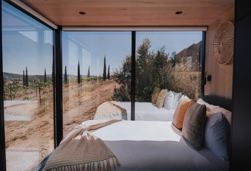 Bajo Estrellas Hotel Contemporáneo