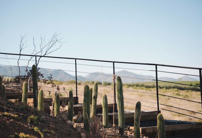 Bajo Estrellas Hotel Contemporáneo