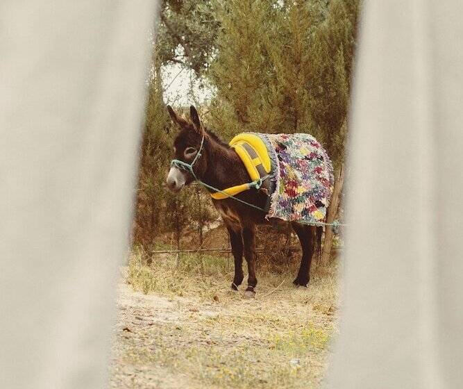 住宿加早餐  Edenatlas Chambres D Hôtes   Amizmiz