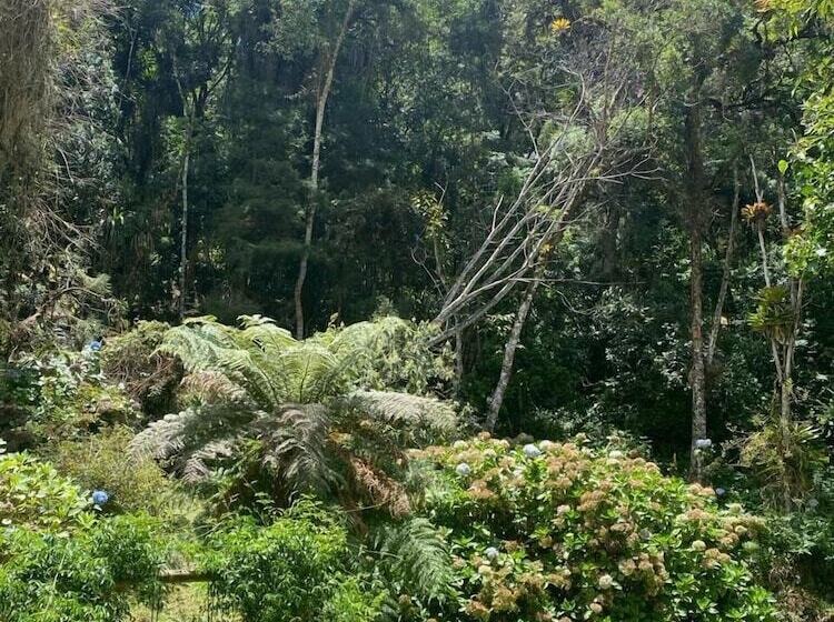 호텔 Tília Pousada De Charme