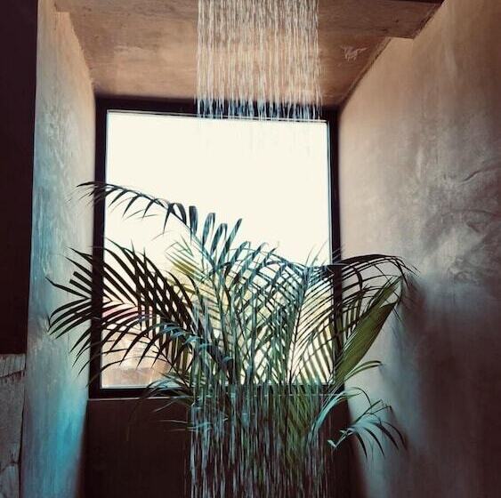 Nikau Hotel El Cuyo   Adults Only