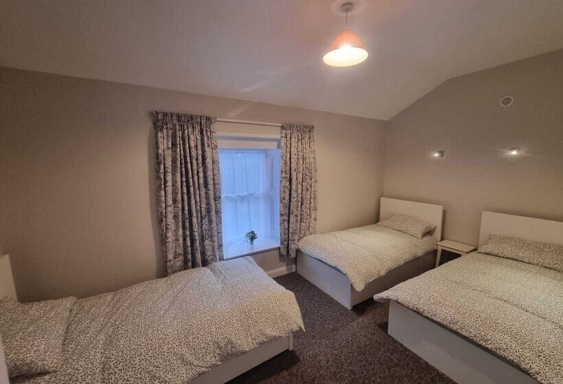 膳宿费 The Monkey Puzzle