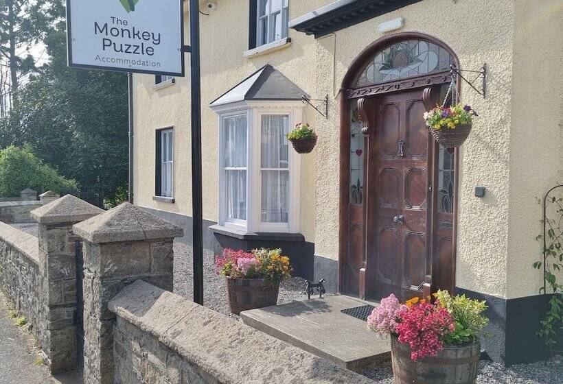 膳宿费 The Monkey Puzzle