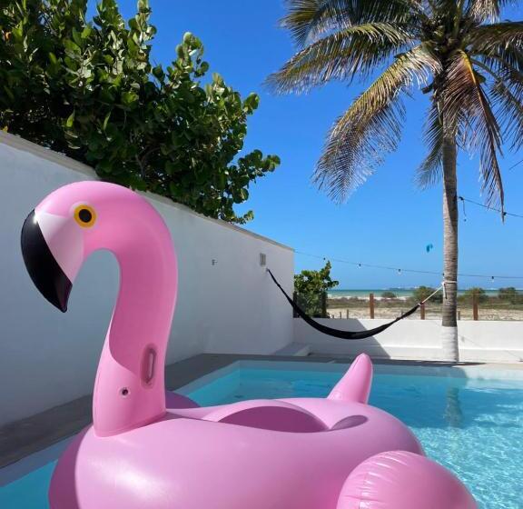 ペンション Villa Soflo Kite Mexico