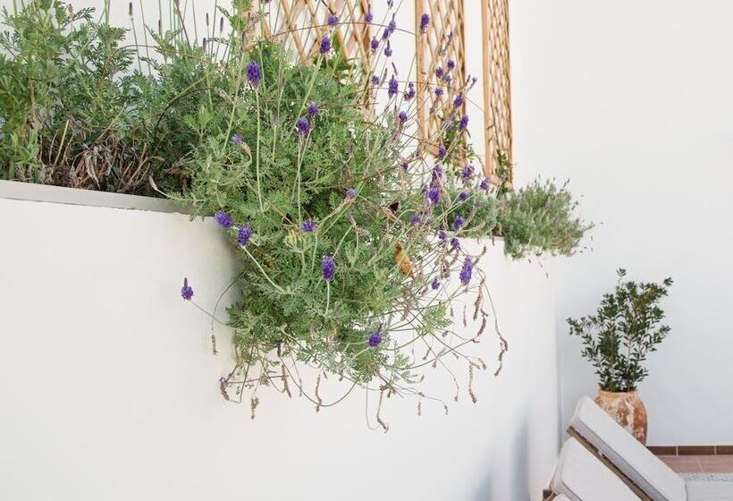 호텔 Art Boutique La Casona De Las Flores