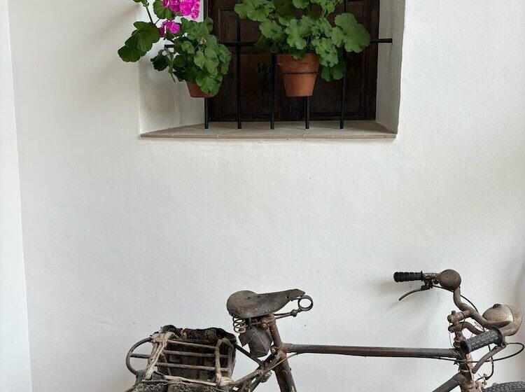 호텔 Art Boutique La Casona De Las Flores