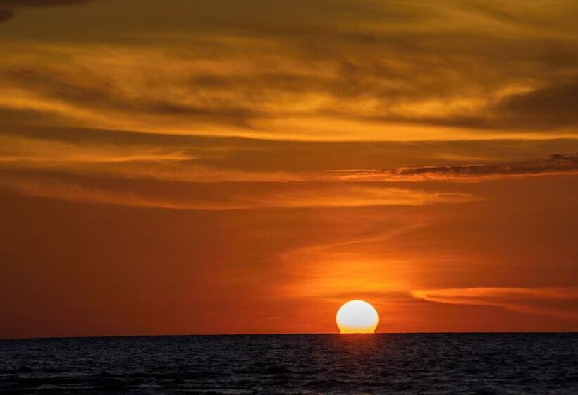 호텔 Casa Del Mar Al Alma