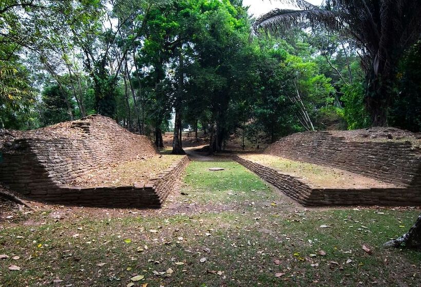 בית מלון כפרי Tropical Magnolia